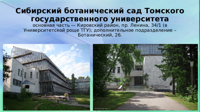 Сибирский ботанический сад Томского государственного университета  основная часть — Кировский район, пр. Ленина, 34/1 (в Университетской роще ТГУ); дополнительное подразделение – Ботанический, 26. 