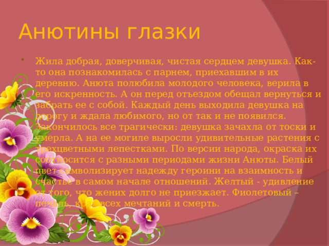 Анютины глазки Жила добрая, доверчивая, чистая сердцем девушка. Как-то она познакомилась с парнем, приехавшим в их деревню. Анюта полюбила молодого человека, верила в его искренность. А он перед отъездом обещал вернуться и забрать ее с собой. Каждый день выходила девушка на дорогу и ждала любимого, но от так и не появился. Закончилось все трагически: девушка зачахла от тоски и умерла. А на ее могиле выросли удивительные растения с трехцветными лепестками. По версии народа, окраска их соотносится с разными периодами жизни Анюты. Белый цвет символизирует надежду героини на взаимность и счастье в самом начале отношений. Желтый - удивление от того, что жених долго не приезжает. Фиолетовый – печаль, крах всех мечтаний и смерть. 