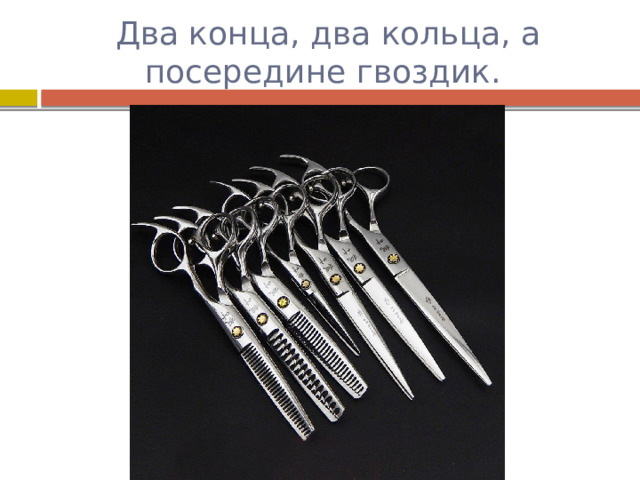 Два конца, два кольца, а посередине гвоздик. 