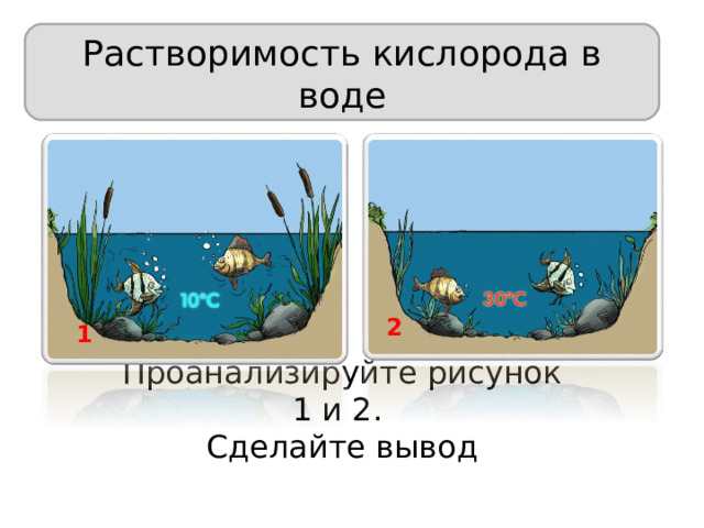 Растворимость кислорода в воде 2 1 Проанализируйте рисунок 1 и 2.  Сделайте вывод 