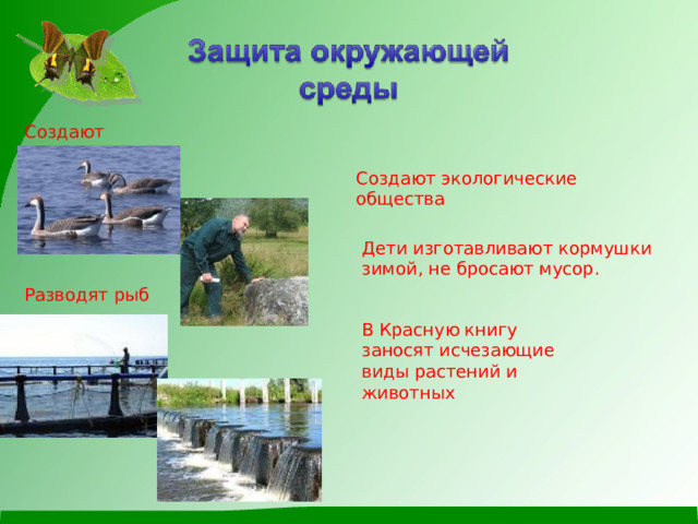 Создают заповедники Создают экологические общества Дети изготавливают кормушки зимой, не бросают мусор. Разводят рыб В Красную книгу заносят исчезающие виды растений и животных 