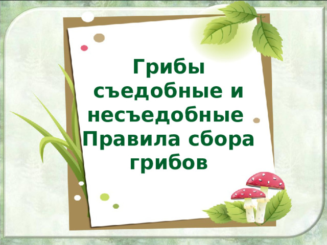 Грибы съедобные и несъедобные  Правила сбора грибов 