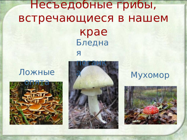 Несъедобные грибы, встречающиеся в нашем крае Бледная поганка Ложные опята Мухомор 
