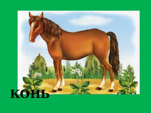 ЖЕРЕБЁНОК КОНЬ 