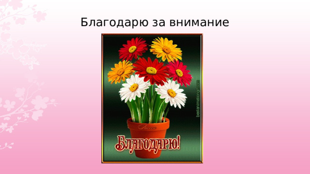 Благодарю за внимание 