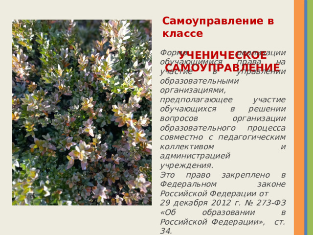 Самоуправление   в   классе   УЧЕНИЧЕСКОЕ САМОУПРАВЛЕНИЕ Форма реализации обучающимися права на участие в управлении образовательными организациями, предполагающее участие обучающихся в решении вопросов организации образовательного процесса совместно с педагогическим коллективом и администрацией учреждения. Это право закреплено в Федеральном законе Российской Федерации от 29 декабря 2012 г. № 273-ФЗ «Об образовании в Российской Федерации», ст. 34.  