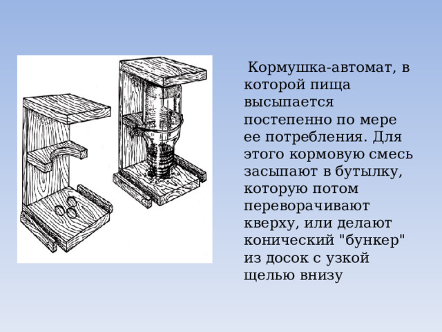  Кормушка-автомат, в которой пища высыпается постепенно по мере ее потребления. Для этого кормовую смесь засыпают в бутылку, которую потом переворачивают кверху, или делают конический 