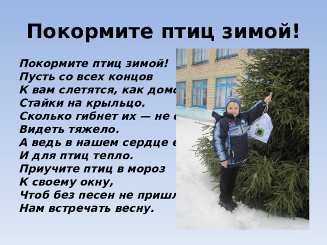 Покормите птиц зимой!  Покормите птиц зимой! Пусть со всех концов К вам слетятся, как домой, Стайки на крыльцо. Сколько гибнет их — не счесть, Видеть тяжело. А ведь в нашем сердце есть И для птиц тепло. Приучите птиц в мороз К своему окну, Чтоб без песен не пришлось Нам встречать весну.  
