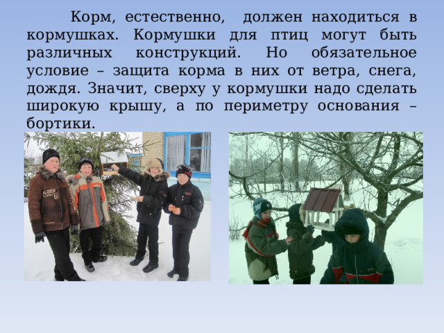  Корм, естественно, должен находиться в кормушках. Кормушки для птиц могут быть различных конструкций. Но обязательное условие – защита корма в них от ветра, снега, дождя. Значит, сверху у кормушки надо сделать широкую крышу, а по периметру основания – бортики. 