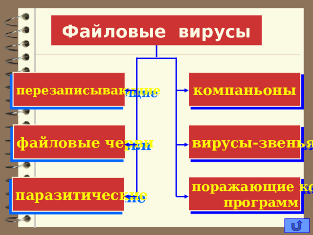ФАЙЛОВЫЕ ВИРУСЫ  Внедряются в программы и активизируются при их запуске. После запуска заражённой программы могут заражать другие файлы до момента выключения компьютера или перезагрузки операционной системы. 
