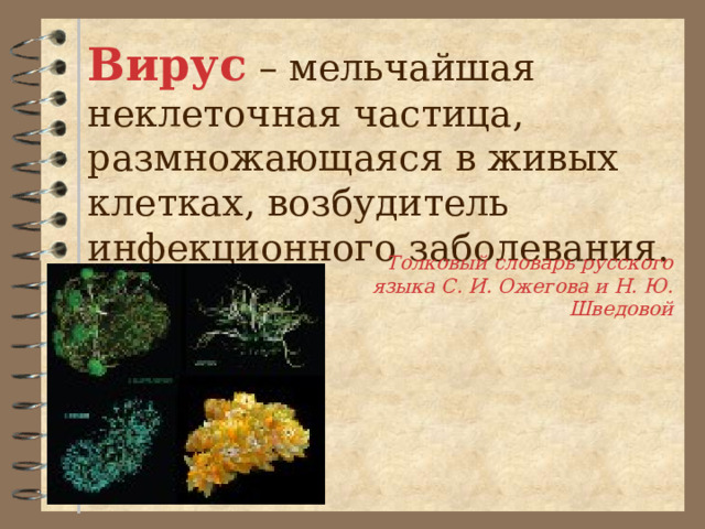 Вирус – мельчайшая неклеточная частица, размножающаяся в живых клетках, возбудитель инфекционного заболевания. Толковый словарь русского языка С. И. Ожегова и Н. Ю. Шведовой 