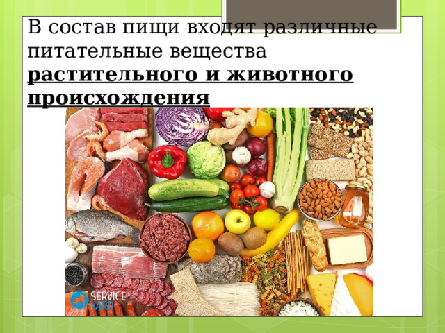 В состав пищи входят различные питательные вещества растительного и животного происхождения 