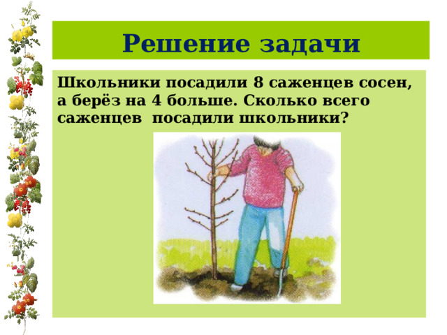 Решение задачи Школьники посадили 8 саженцев сосен, а берёз на 4 больше. Сколько всего саженцев посадили школьники? 