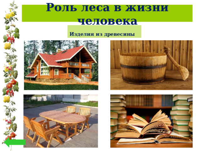 Роль леса в жизни человека Изделия из древесины 