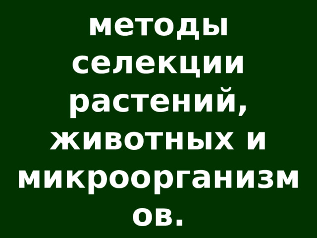 Основные методы селекции растений, животных и микроорганизмов. Биотехнология 