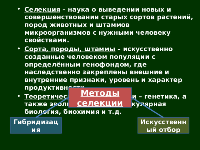 Селекция – наука о выведении новых и совершенствовании старых сортов растений, пород животных и штаммов микроорганизмов с нужными человеку свойствами. Сорта, породы, штаммы – искусственно созданные человеком популяции с определённым генофондом, где наследственно закреплены внешние и внутренние признаки, уровень и характер продуктивности. Теоретическая база селекции – генетика, а также эволюционная и молекулярная биология, биохимия и т.д. Методы селекции Гибридизация Искусственный отбор 