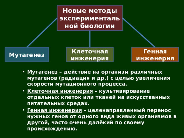 Новые методы экспериментальной биологии Мутагенез Клеточная инженерия Генная инженерия Мутагенез – действие на организм различных мутагенов (радиация и др.) с целью увеличения скорости мутационного процесса. Клеточная инженерия – культивирование отдельных клеток или тканей на искусственных питательных средах. Генная инженерия – целенаправленный перенос нужных генов от одного вида живых организмов в другой, часто очень далёкий по своему происхождению. Мутагенез – действие на организм различных мутагенов (радиация и др.) с целью увеличения скорости мутационного процесса. Клеточная инженерия – культивирование отдельных клеток или тканей на искусственных питательных средах. Генная инженерия – целенаправленный перенос нужных генов от одного вида живых организмов в другой, часто очень далёкий по своему происхождению. 