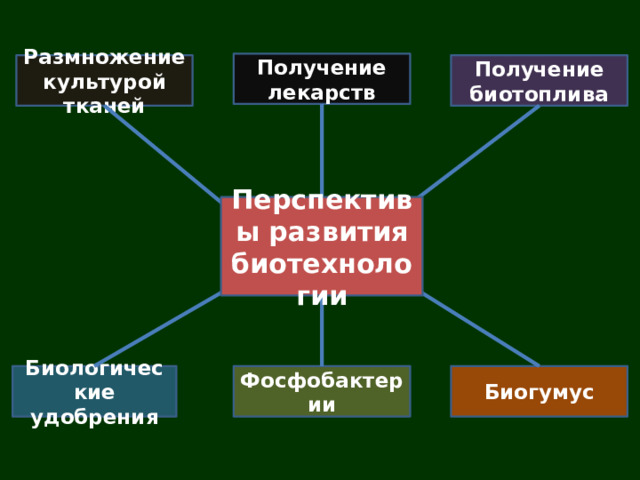 Получение лекарств Размножение культурой тканей Получение биотоплива Перспективы развития биотехнологии Биологические удобрения Фосфобактерии Биогумус 