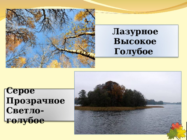 Лазурное Высокое Голубое  Серое Прозрачное Светло-голубое 