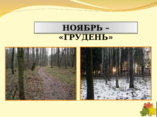 НОЯБРЬ – «ГРУДЕНЬ» 