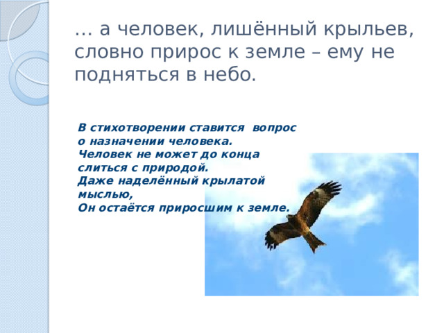 … а человек, лишённый крыльев, словно прирос к земле – ему не подняться в небо. В стихотворении ставится вопрос о назначении человека. Человек не может до конца слиться с природой. Даже наделённый крылатой мыслью, Он остаётся приросшим к земле. 