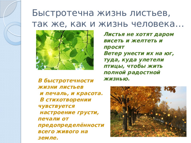 Быстротечна жизнь листьев, так же, как и жизнь человека… Листья не хотят даром висеть и желтеть и просят Ветер унести их на юг, туда, куда улетели птицы, чтобы жить полной радостной жизнью. В быстротечности жизни листьев  и печаль, и красота.  В стихотворении чувствуется  настроение грусти, печали от предопределённости всего живого на земле. 