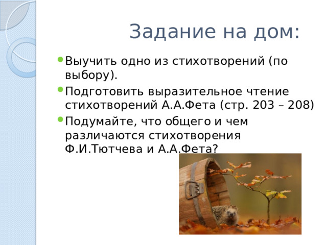  Задание на дом: Выучить одно из стихотворений (по выбору). Подготовить выразительное чтение стихотворений А.А.Фета (стр. 203 – 208) Подумайте, что общего и чем различаются стихотворения Ф.И.Тютчева и А.А.Фета? 