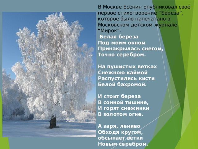 В Москве Есенин опубликовал своё первое стихотворение “Береза”, которое было напечатано в Московском детском журнале “Мирок”.  Белая береза  Под моим окном  Принакрылась снегом,  Точно серебром.   На пушистых ветках  Снежною каймой  Распустились кисти  Белой бахромой.   И стоит береза  В сонной тишине,  И горят снежинки  В золотом огне.   А заря, лениво  Обходя кругом,  обсыпает ветки  Новым серебром.  