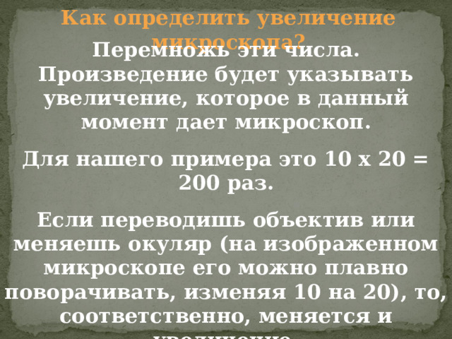 Как определить увеличение микроскопа? Перемножь эти числа. Произведение будет указывать увеличение, которое в данный момент дает микроскоп. Для нашего примера это 10 х 20 = 200 раз. Если переводишь объектив или меняешь окуляр (на изображенном микроскопе его можно плавно поворачивать, изменяя 10 на 20), то, соответственно, меняется и увеличение. Помни об этом! Важно указывать увеличение, когда работаешь над объектом. 