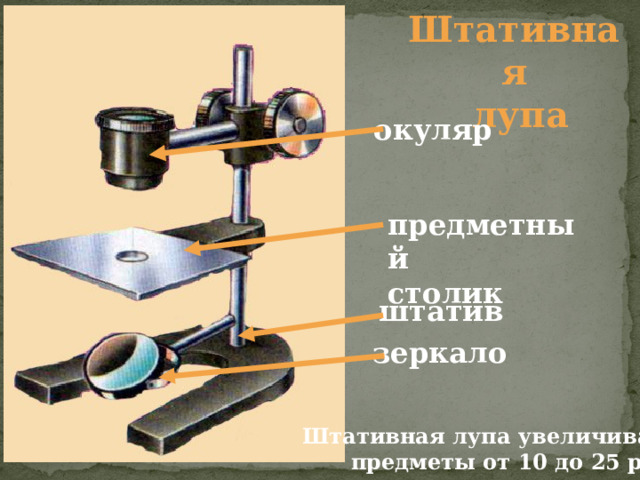 Штативная  лупа окуляр предметный столик штатив зеркало Штативная лупа увеличивает предметы от 10 до 25 раз. 