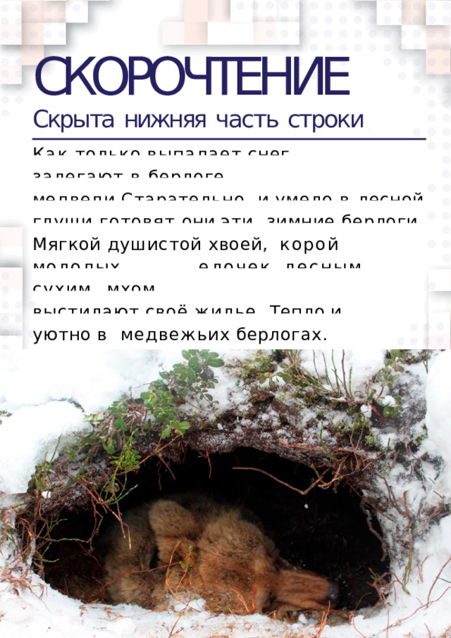 СКОРОЧТЕНИЕ Скрыта  нижняя  часть  строки Как  только  выпадает  снег, залегают в берлоге медведи.Старательно  и умело в лесной глуши готовят они эти  зимние берлоги. Мягкой душистой хвоей,  коро й  молоды х  елочек ,  лесны м  сухим мхом выстилают  своё  жилье.  Тепло  и  уютно  в  медвежьих  берлогах.  
