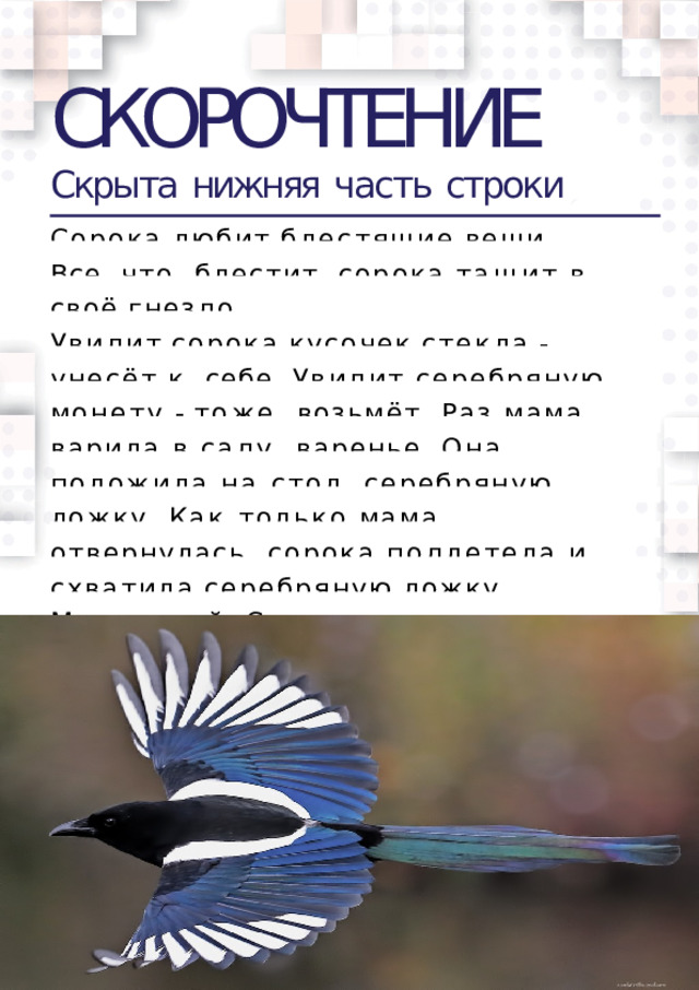 СКОРОЧТЕНИЕ Скрыта  нижняя  часть  строки Сорока  любит  блестящие  вещи.  Все,  что  блестит,  сорока  тащит  в  своё  гнездо. Увидит  сорока  кусочек  стекла  -  унесёт  к  себе. Увидит серебряную монету - тоже  возьмёт. Раз мама варила в саду  варенье. Она положила на стол  серебряную ложку. Как только мама  отвернулась, сорока подлетела и  схватила  серебряную  ложку.  Маленький  Сеня увидел это и закричал.Сорока  испугалась  и  выпустила  ложку.  
