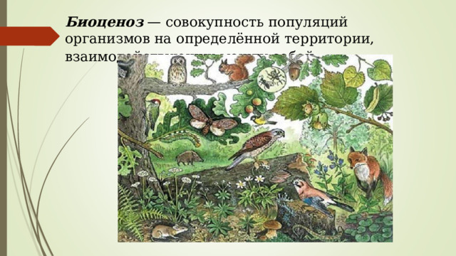 Биоценоз  — совокупность популяций организмов на определённой территории, взаимодействующих между собой .    