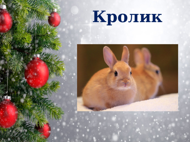 Кролик 