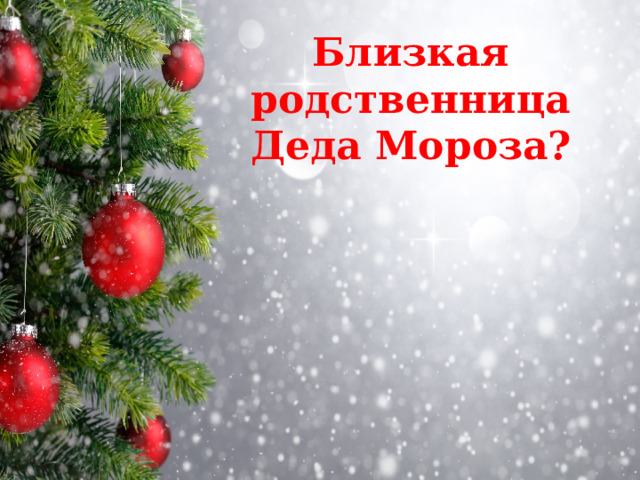 Близкая родственница Деда Мороза? 