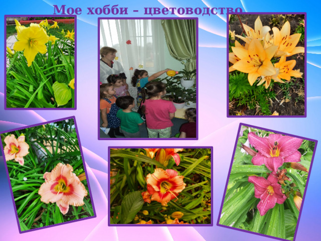 Мое хобби – цветоводство.                   