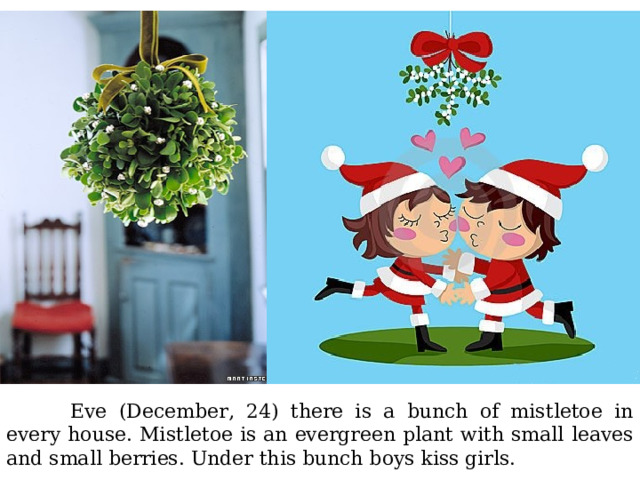  Eve (December, 24) there is a bunch of mistletoe in every house. Mistletoe is an evergreen plant with small leaves and small berries. Under this bunch boys kiss girls. 