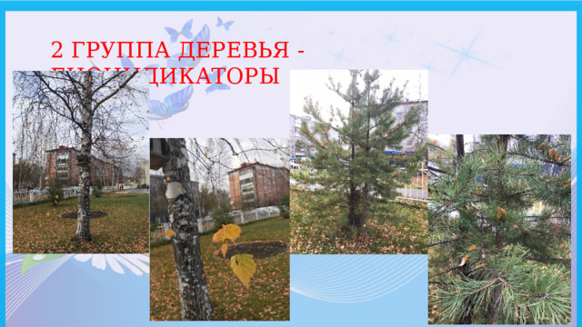 2 ГРУППА ДЕРЕВЬЯ - БИОИНДИКАТОРЫ 