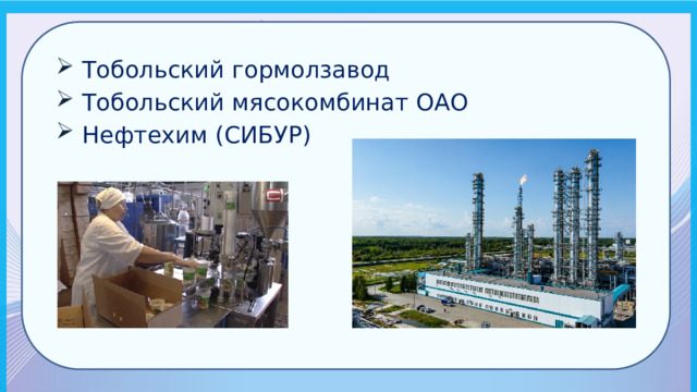 Тобольский гормолзавод Тобольский мясокомбинат ОАО Нефтехим (СИБУР) 