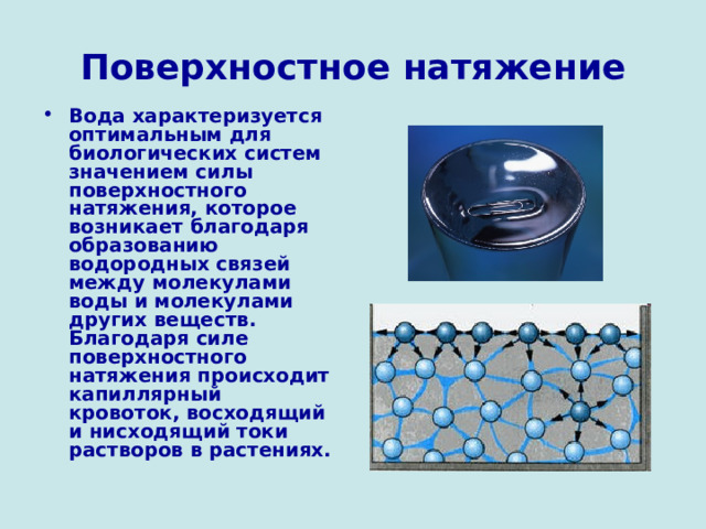 Поверхностное натяжение Вода характеризуется оптимальным для биологических систем значением силы поверхностного натяжения, которое возникает благодаря образованию водородных связей между молекулами воды и молекулами других веществ. Благодаря силе поверхностного натяжения происходит капиллярный кровоток, восходящий и нисходящий токи растворов в растениях. 
