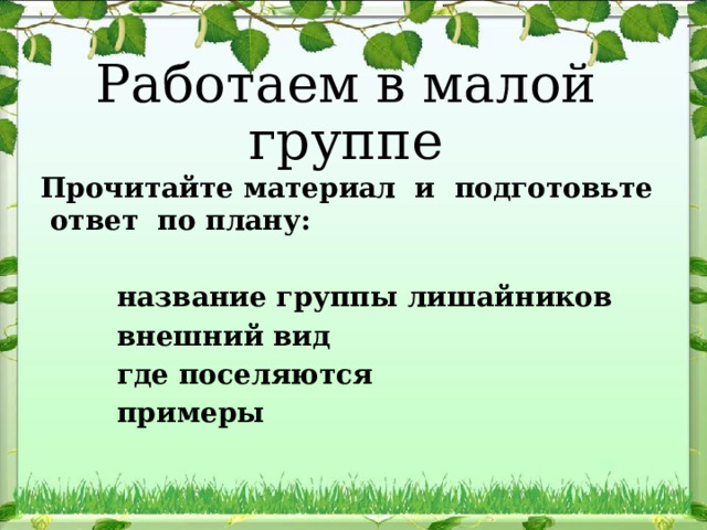 Работаем в малой группе Прочитайте материал и подготовьте ответ по плану:    название группы лишайников  внешний вид  где поселяются  примеры   