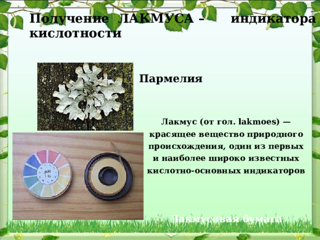       Получение ЛАКМУСА – индикатора кислотности       Пармелия Лакмус (от гол. lakmoes) — красящее вещество природного происхождения, один из первых и наиболее широко известных кислотно-основных индикаторов Лакмусовая бумага 