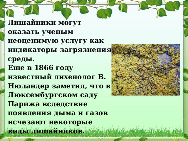 Лишайники могут оказать ученым неоценимую услугу как индикаторы загрязнения среды. Еще в 1866 году известный лихенолог В. Нюландер заметил, что в Люксембургском саду Парижа вследствие появления дыма и газов исчезают некоторые виды лишайников. 