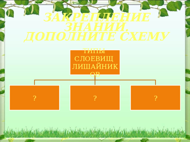 ЗАКРЕПЛЕНИЕ ЗНАНИЙ.  ДОПОЛНИТЕ СХЕМУ ТИПЫ СЛОЕВИЩ ЛИШАЙНИКОВ ? ? ? 