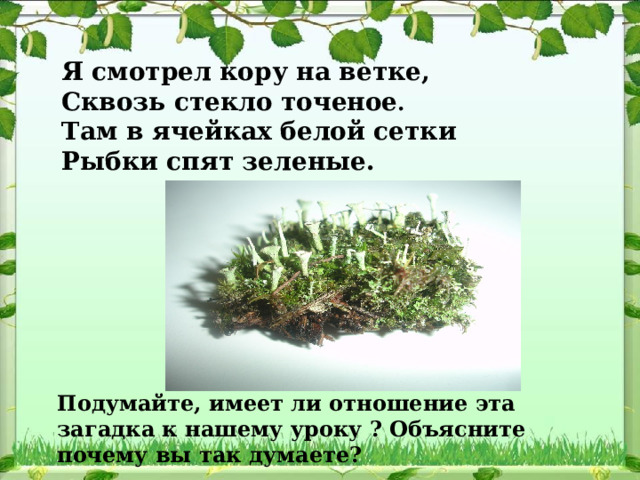 Я смотрел кору на ветке,  Сквозь стекло точеное .  Там в ячейках белой сетки  Рыбки спят зеленые. Подумайте, имеет ли отношение эта загадка к нашему уроку ? Объясните почему вы так думаете?    