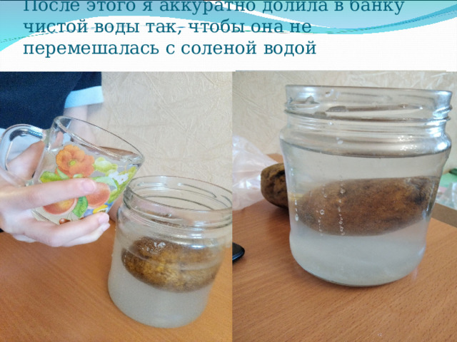 После этого я аккуратно долила в банку чистой воды так, чтобы она не перемешалась с соленой водой 