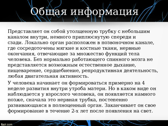 Общая информация Представляет он собой утолщенную трубку с небольшим каналом внутри, немного приплюснутую спереди и сзади. Локально орган расположен в позвоночном канале, где сосредоточены мягкие и костные ткани, нервные окончания, отвечающие за множество функций тела человека. Без нормально работающего спинного мозга не представляется возможным естественное дыхание, пищеварение, сердцебиение, репродуктивная деятельность, любая двигательная активность. У человека начинает он формироваться примерно на 4 неделе развития внутри утроба матери. Но в каком виде он наблюдается у взрослого человека, он появляется намного позже, сначала это нервная трубка, постепенно развивающаяся в полноценный орган. Заканчивает он свое формирование в течение 2-х лет после появления на свет. 
