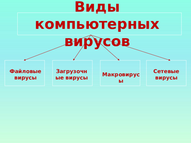 Виды компьютерных вирусов Файловые вирусы Загрузочные вирусы Сетевые вирусы Макровирусы 