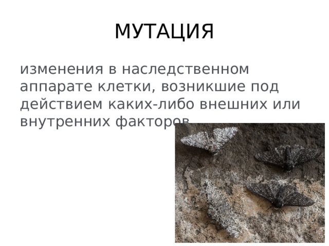МУТАЦИЯ изменения в наследственном аппарате клетки, возникшие под действием каких-либо внешних или внутренних факторов. 
