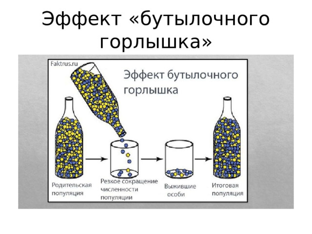 Эффект «бутылочного горлышка» 